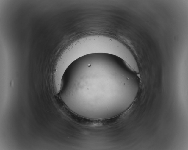 X0000083550162200703021700