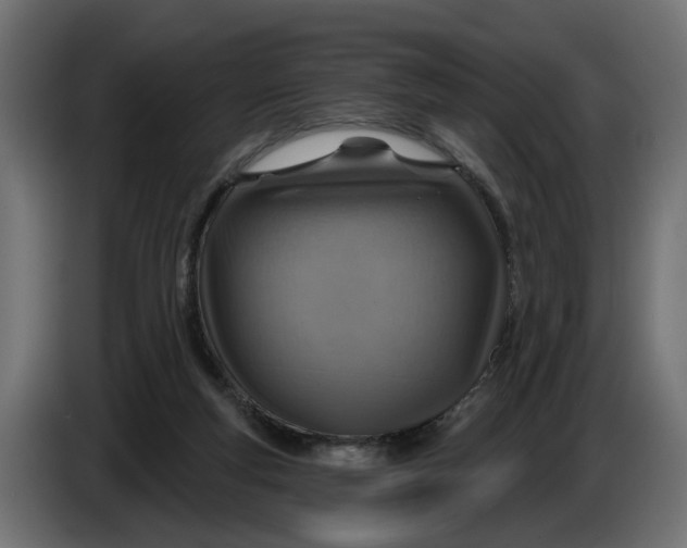 X0000083550163200703021700