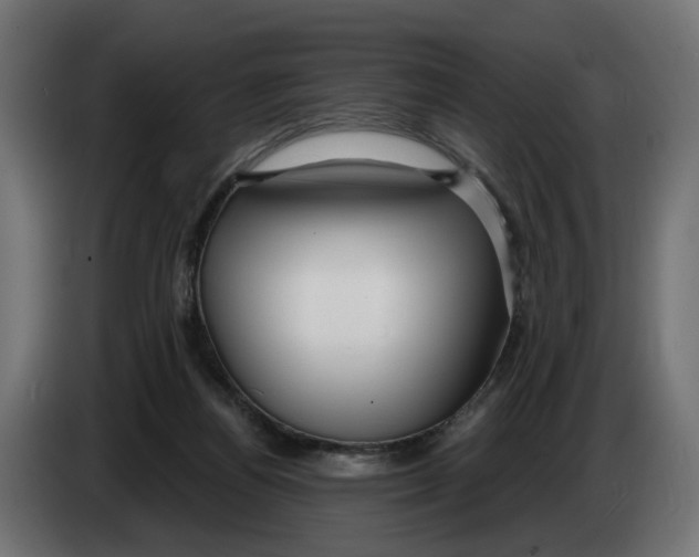 X0000083550164200703021700