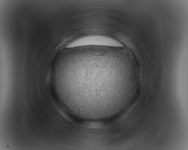 X0000083550165200703021700