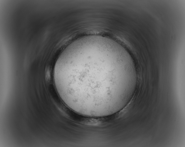 X0000083550166200703021701