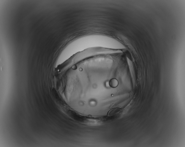 X0000083550167200703021701