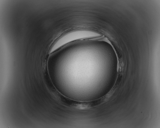 X0000083550168200703021701