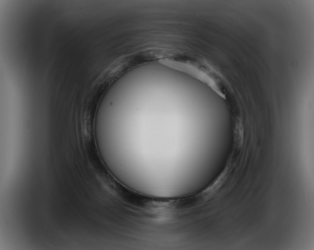 X0000083550170200703021701