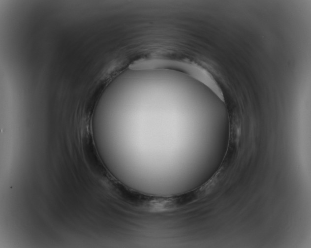 X0000083550172200703021701