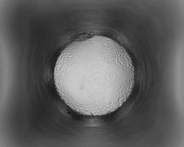 X0000083550173200703021701