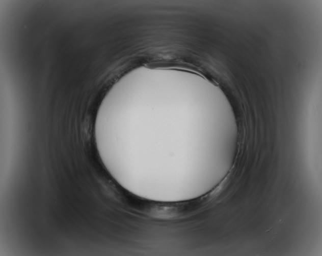 X0000083550174200703021701