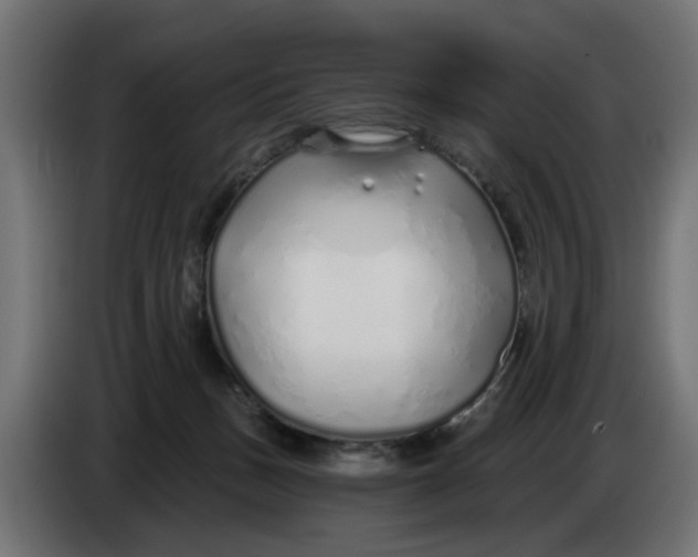 X0000083550175200703021701