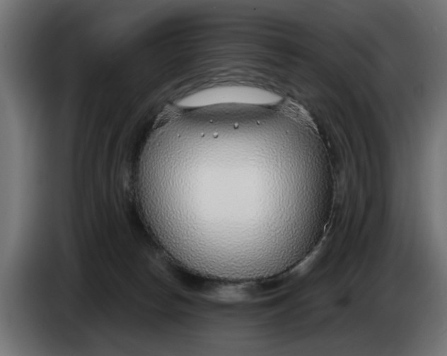 X0000083550178200703021701