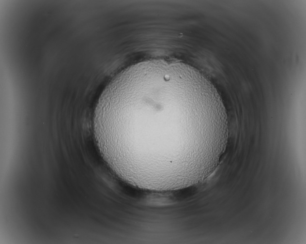 X0000083550179200703021701
