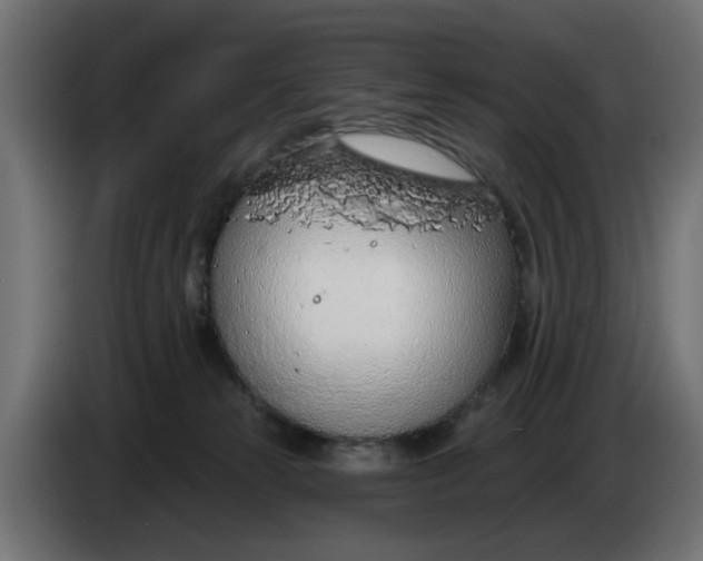 X0000083550181200703021701