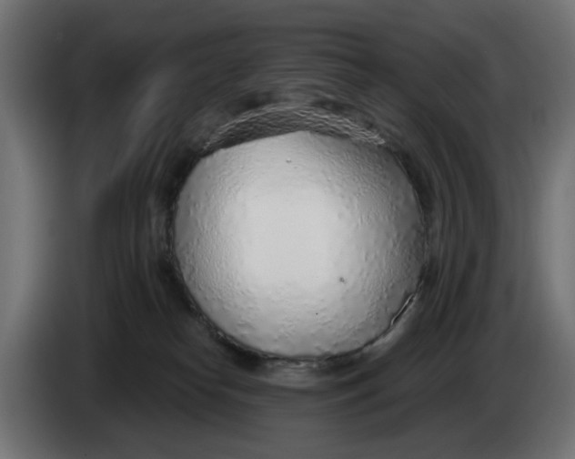 X0000083550182200703021701