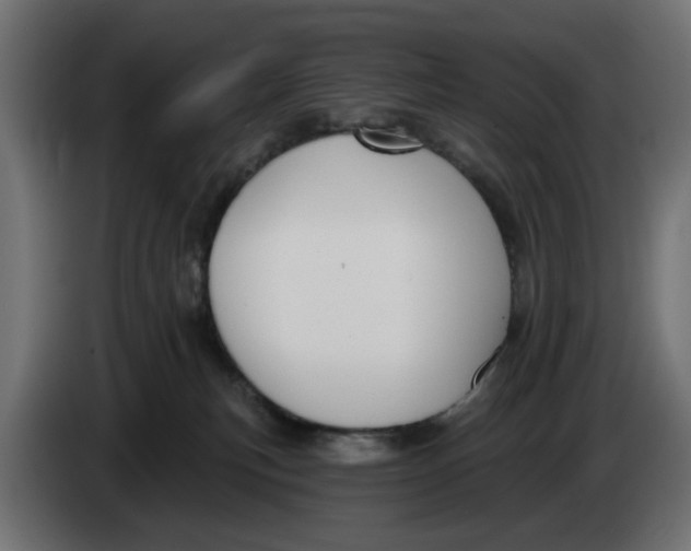 X0000083550183200703021701
