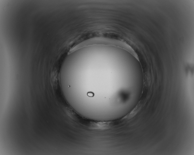 X0000083550184200703021701