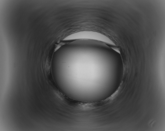X0000083550186200703021701