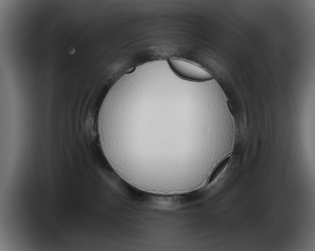 X0000083550187200703021701