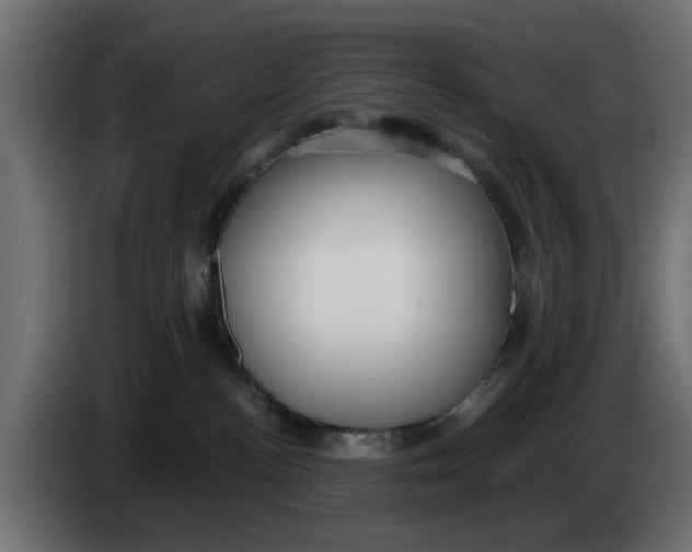 X0000083550188200703021701