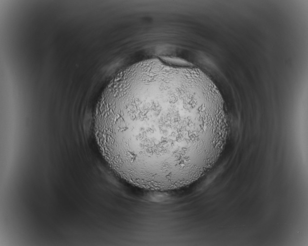 X0000083550189200703021701