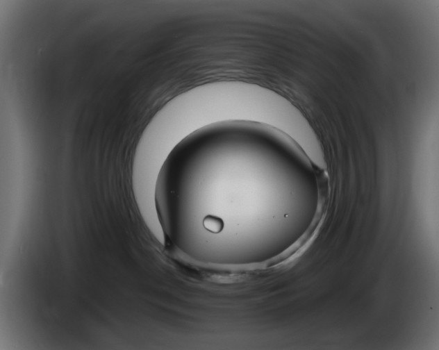 X0000083550190200703021701