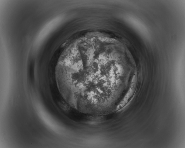 X0000083550191200703021701
