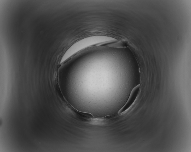 X0000083550192200703021701
