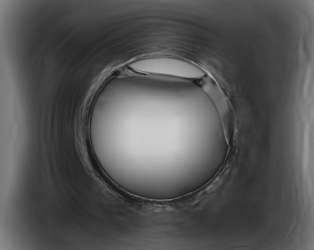 X0000083550193200703021700
