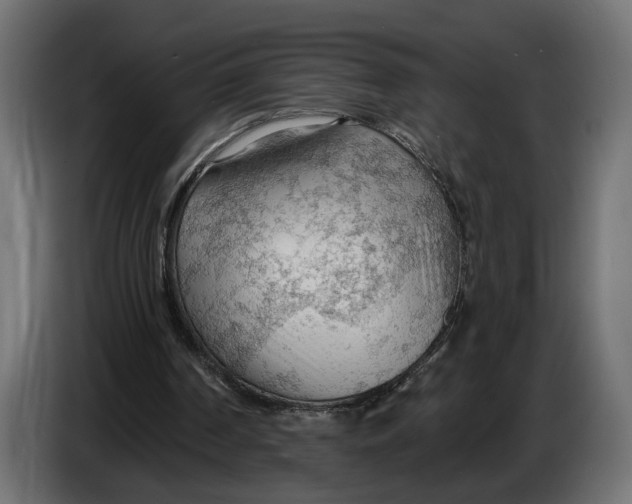 X0000083550194200703021700