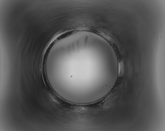 X0000083550195200703021700