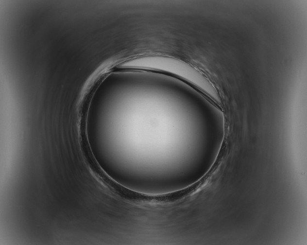 X0000083550197200703021700