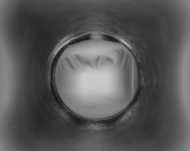 X0000083550199200703021700