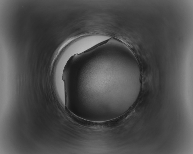 X0000083550200200703021700