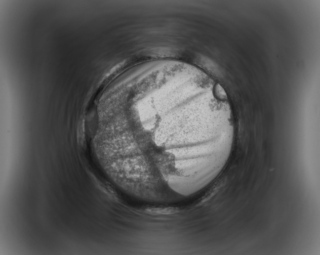 X0000083550202200703021700