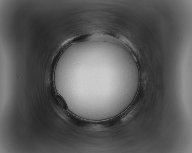 X0000083550203200703021700