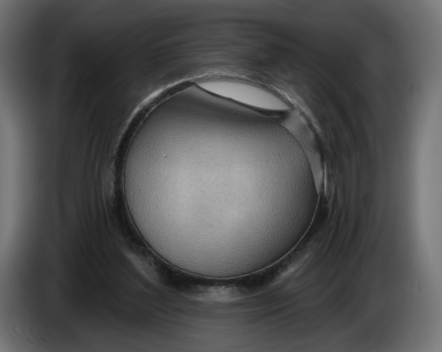 X0000083550204200703021700