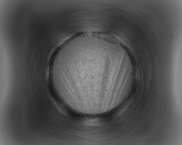 X0000083550206200703021700