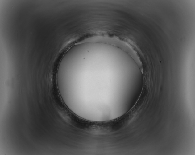 X0000083550207200703021700