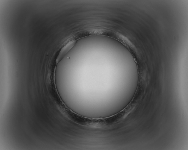 X0000083550209200703021700
