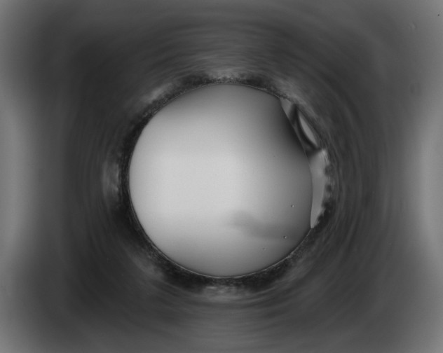 X0000083550211200703021700