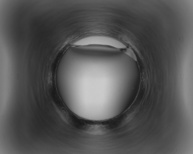 X0000083550212200703021700