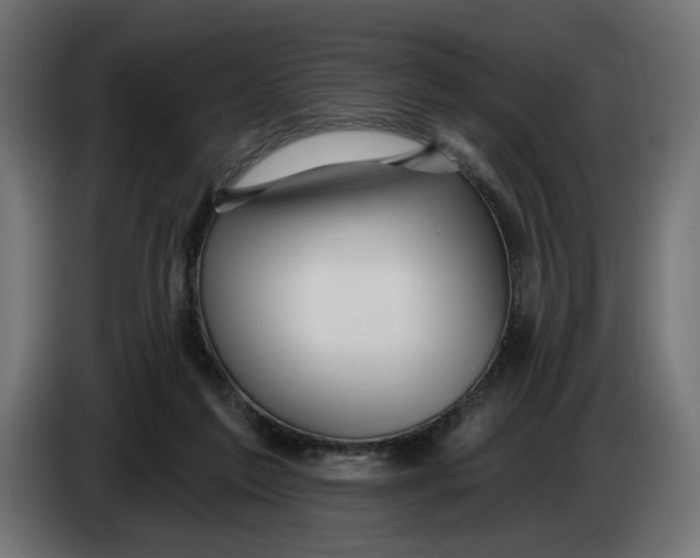 X0000083550213200703021700