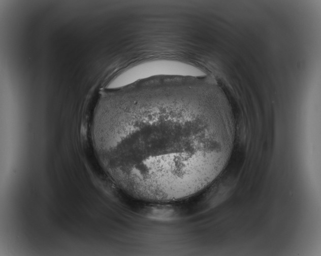 X0000083550214200703021700