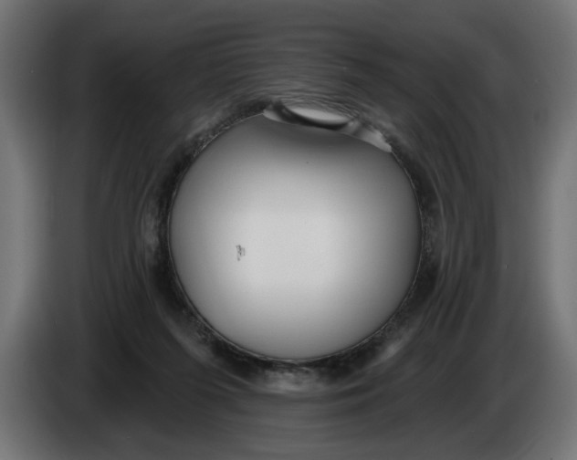 X0000083550215200703021700