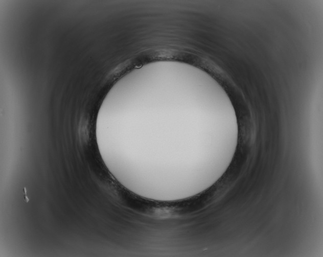 X0000083550216200703021700
