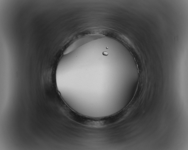 X0000083550217200703021700