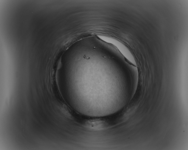 X0000083550219200703021700