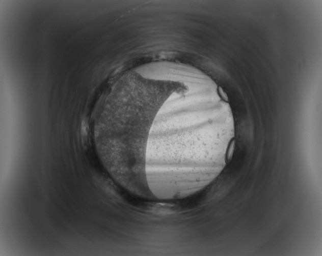 X0000083550222200703021700