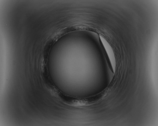 X0000083550223200703021700