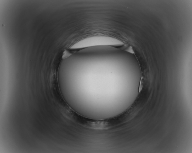 X0000083550225200703021700