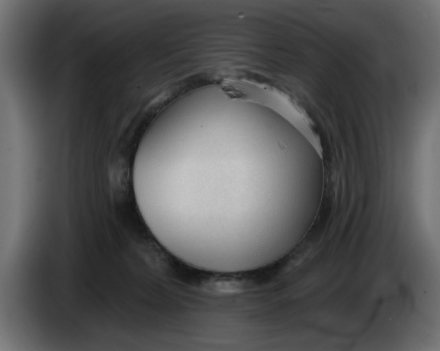 X0000083550228200703021659