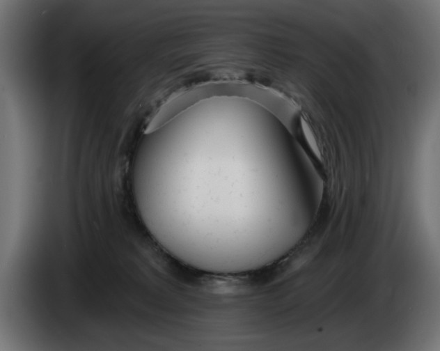X0000083550229200703021659